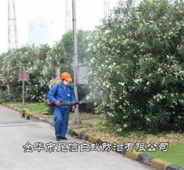 灭蟑螂