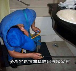 灭蟑螂