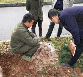 白蚁防治现场