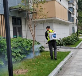 除蚊蝇