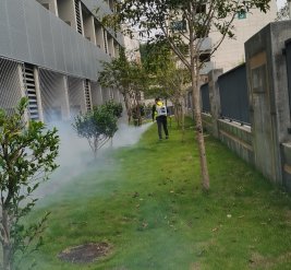 除蚊蝇