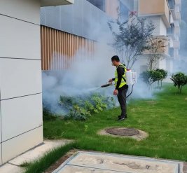 除蚊蝇