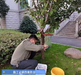 除蚊蝇